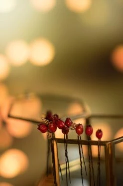 Red Berry Tiara Berries Wreath Tiara Red Crown Christmas Headpiece Rustic Wreath Floral Crown Red Party Christmas Gift -Cheap Bags & Purses Store il fullxfull.3540402682 g0oy