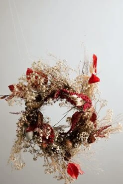 Modern Christmas Wreath No.21 / Red Amaranthus In Soft Winter Door Wreath Christmas Decoration / Christmas Wreath / Xmas Door Wreath 17 Modern Christmas Wreath No.21 / Red Amaranthus In Soft Winter Door Wreath Christmas Decoration / Christmas Wreath / Xmas Door Wreath -Cheap Bags & Purses Store il fullxfull.4723929275 odt8