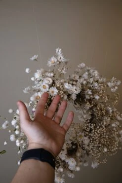 Modern Christmas Wreath No.6 / Daisies In Soft Winter Door Wreath Christmas Decoration / Christmas Wreath / Xmas Door Wreath 19 Modern Christmas Wreath No.6 / Daisies In Soft Winter Door Wreath Christmas Decoration / Christmas Wreath / Xmas Door Wreath -Cheap Bags & Purses Store il fullxfull.4724876983 85je