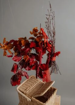 Modern Christmas Wreath No.20 / Autumn Leaves In Soft Winter Door Wreath Christmas Decoration / Christmas Wreath / Xmas Door Wreath 15 Modern Christmas Wreath No.20 / Autumn Leaves In Soft Winter Door Wreath Christmas Decoration / Christmas Wreath / Xmas Door Wreath -Cheap Bags & Purses Store il fullxfull.4912095400 rd0h