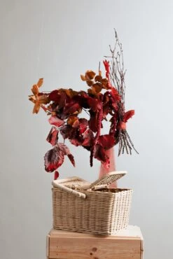 Modern Christmas Wreath No.20 / Autumn Leaves In Soft Winter Door Wreath Christmas Decoration / Christmas Wreath / Xmas Door Wreath 19 Modern Christmas Wreath No.20 / Autumn Leaves In Soft Winter Door Wreath Christmas Decoration / Christmas Wreath / Xmas Door Wreath -Cheap Bags & Purses Store il fullxfull.4960355579 67fr